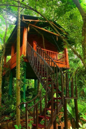 The Hidden Treehouse